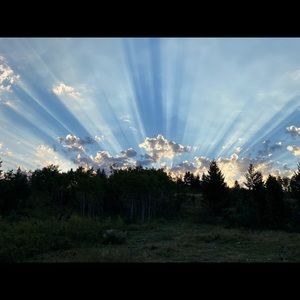 Meet your Posher, Robyn